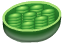 Chloroplast